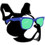 Gyvr App